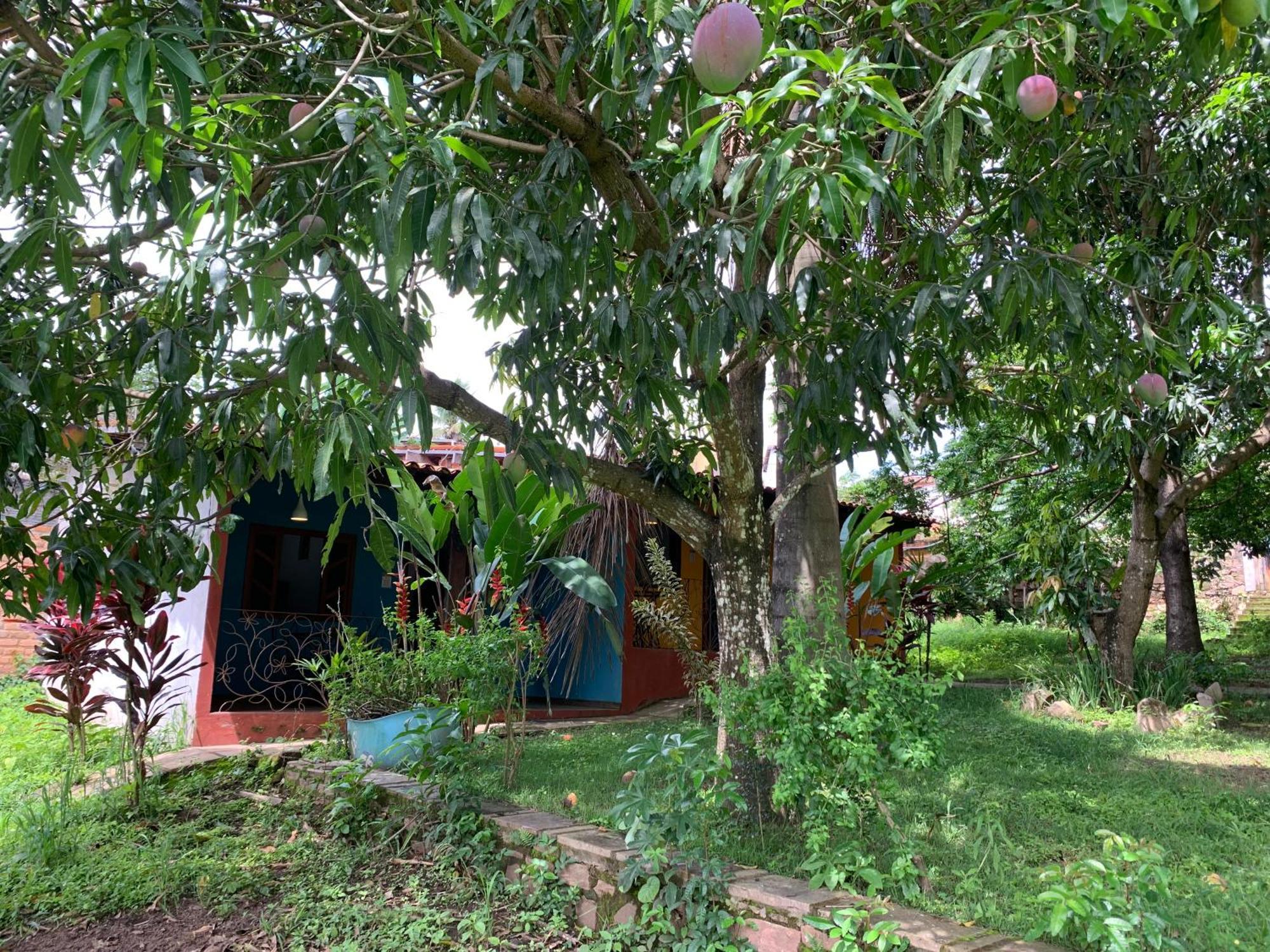 Pousada E Camping Lumiar Lencois Exterior foto